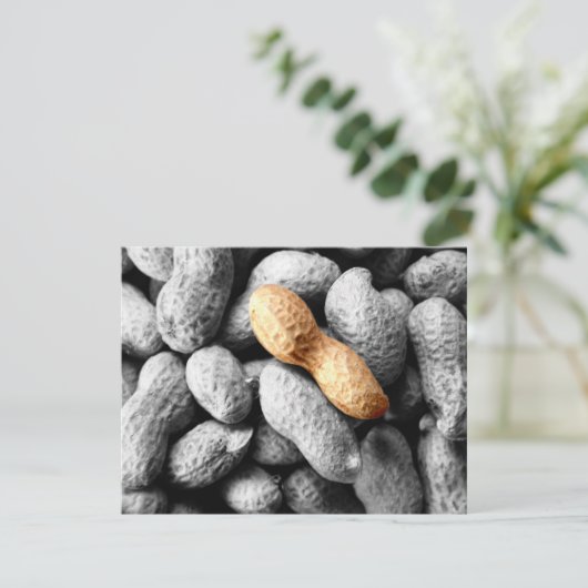 peanut (Standing Front)