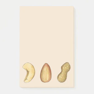 Peanut Almond Cashew Snack Food Nut Nuts Foodie Post-it Notes