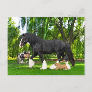 "Peanut & Blackbird" Postcard