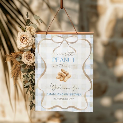 Peanut Boy Blue Gingham Baby Shower Welcome Poster