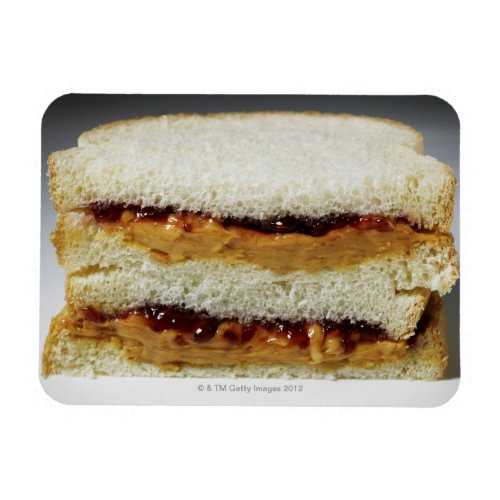 Peanut butter and jelly sandwich magnet
