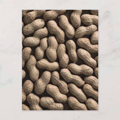 Peanut Family Postcard