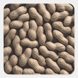 Peanut Family Square Sticker
