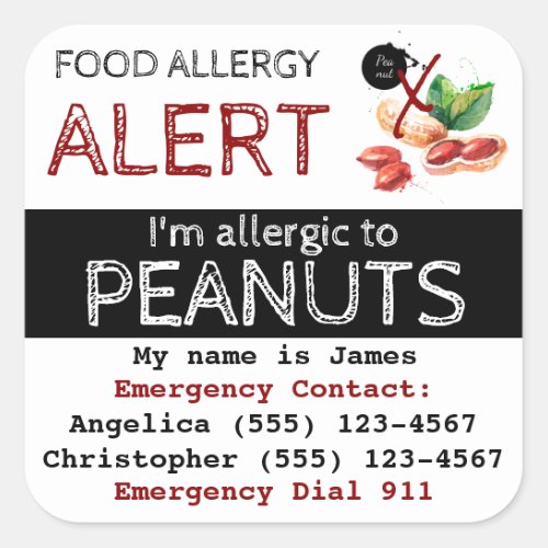 Peanut Food Allergy Sticker