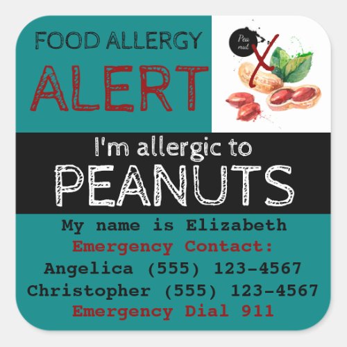 Peanut Food Allergy Sticker Teal