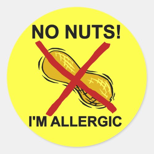 Peanut NO Nuts Im Allergic Classic Round Sticker
