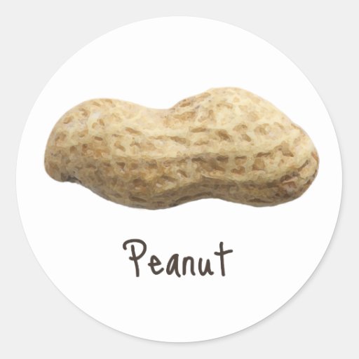 Peanut Round Sticker | Zazzle