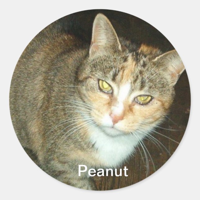 PEANUT STICKER (Front)