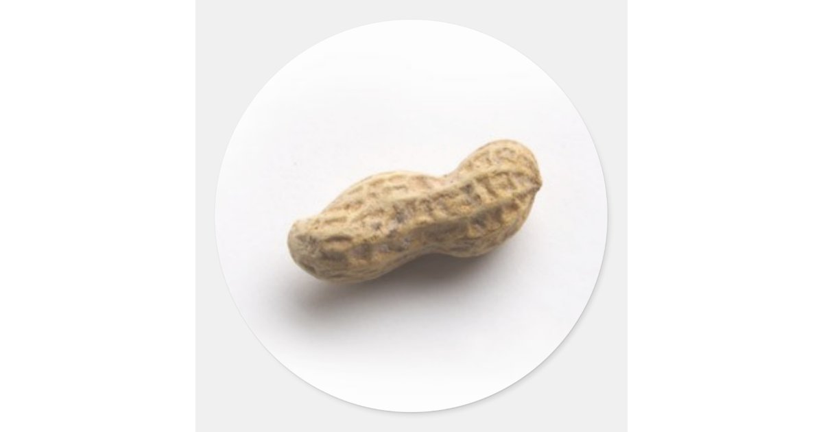 Peanut Sticker | Zazzle