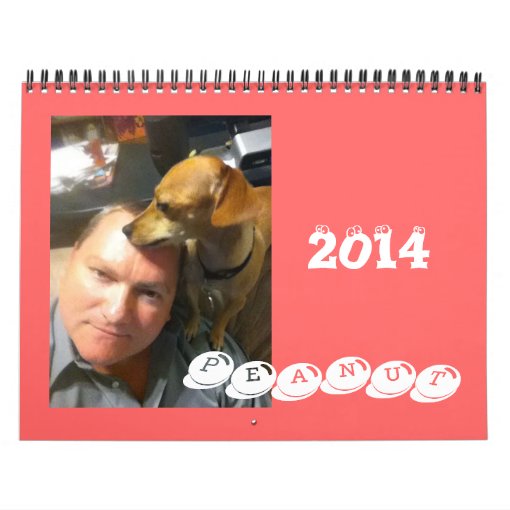 Peanut the Chiweenie Calendar Zazzle