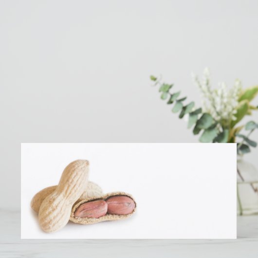 Peanuts (Standing Front)