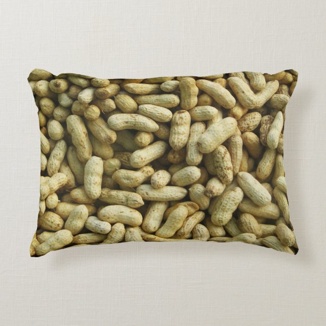 Peanuts Accent Pillow (Front)