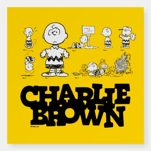 Peanuts  Always Charlie Brown Foam Board