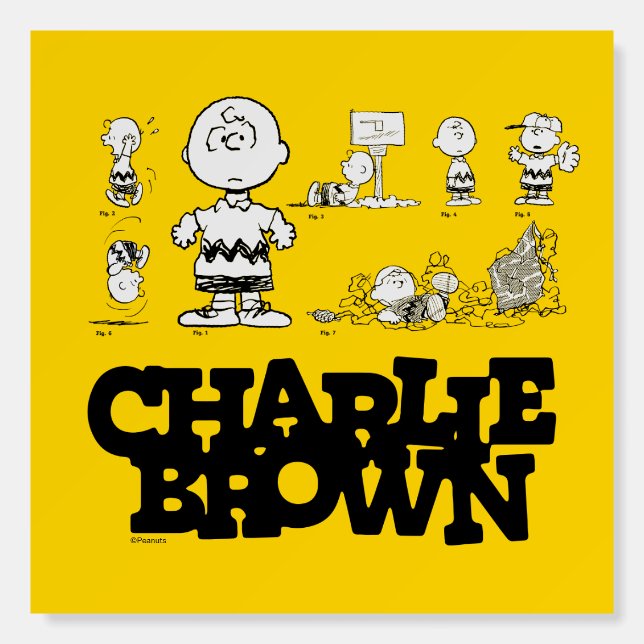 Peanuts | Always Charlie Brown Foam Board (Front)