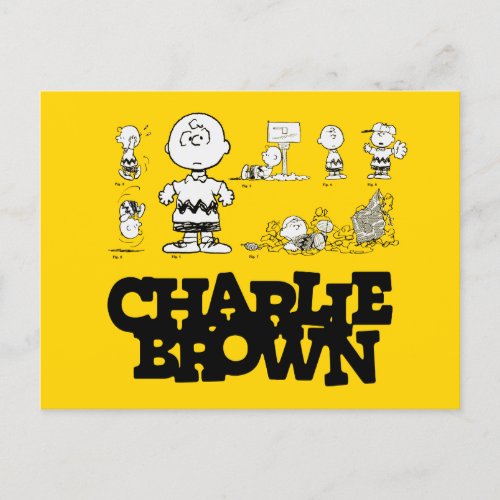Peanuts  Always Charlie Brown Postcard