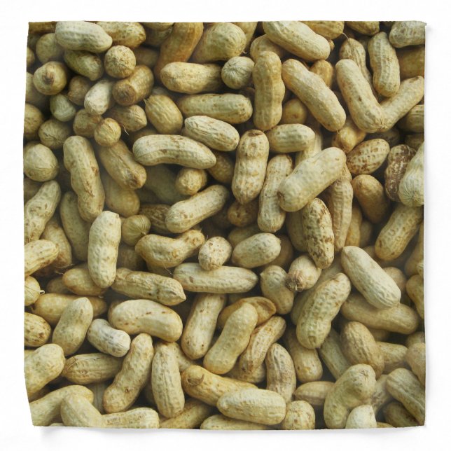 Peanuts Bandana (Front)