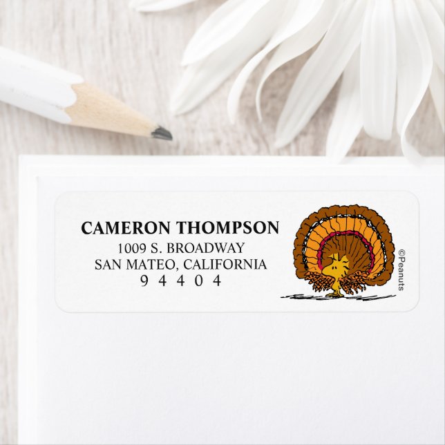 Peanuts | Be Thankful Woodstock Turkey Label (Insitu)