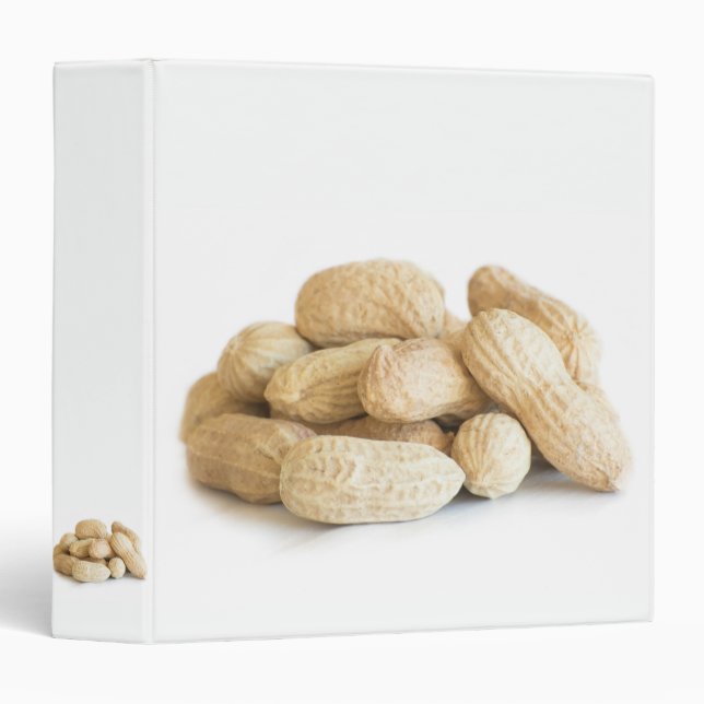 Peanuts Binder (Front/Spine)