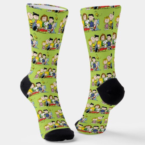 Peanuts  Charlie Brown and Gang Socks