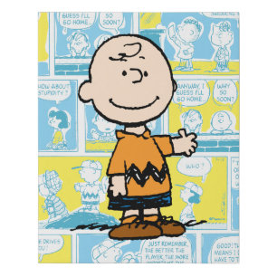 Peanuts Charlie Brown Comic Pattern Faux Canvas Print
