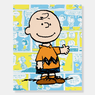 Peanuts Charlie Brown Comic Pattern Foam Board