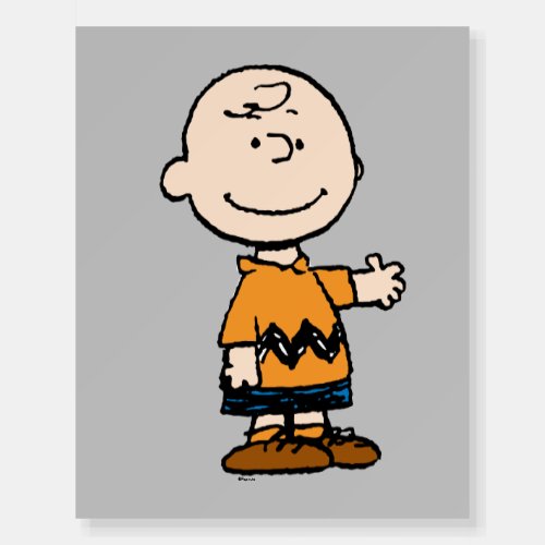 Peanuts  Charlie Brown Foam Board