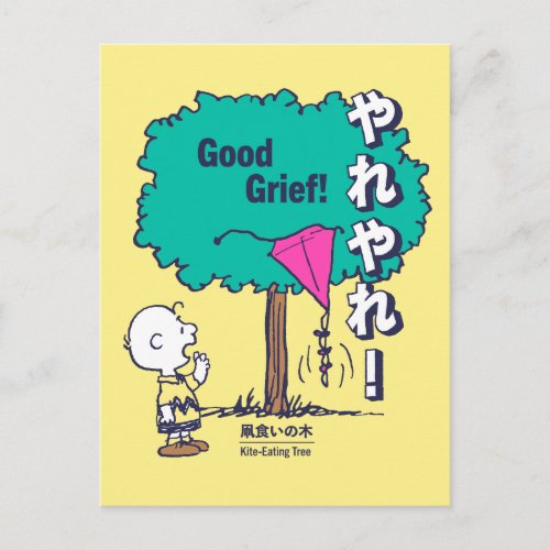 Peanuts  Charlie Brown Kite in the Tree Postcard