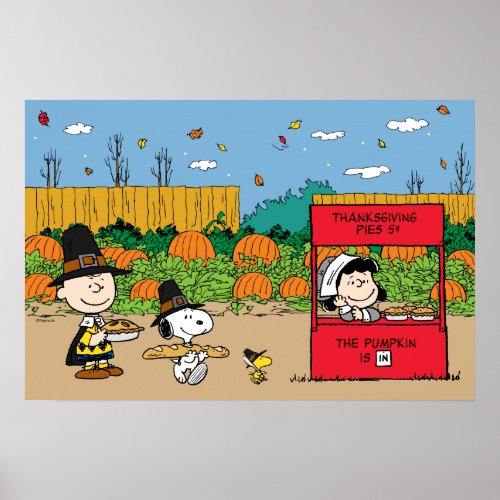 Peanuts  Charlie Brown Thanksgiving Poster