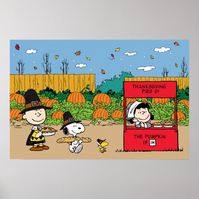 Peanuts | Charlie Brown Thanksgiving Poster (Front)