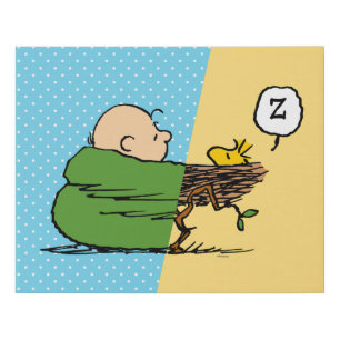 Peanuts Charlie Brown & Woodstock Half & Half Faux Canvas Print