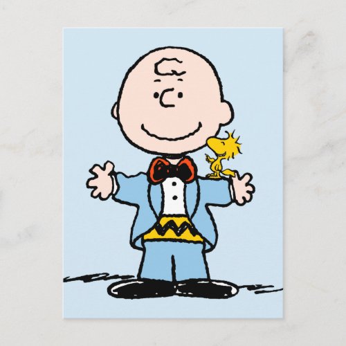 Peanuts  Charlie Brown  Woodstock Smiles Postcard