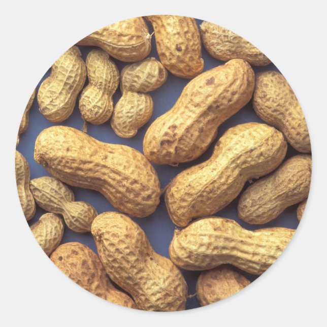 Peanuts Classic Round Sticker (Front)