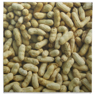 Peanuts Cloth Napkin