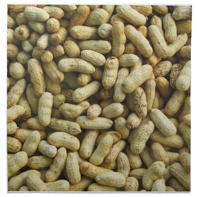 Peanuts Cloth Napkin (Front)