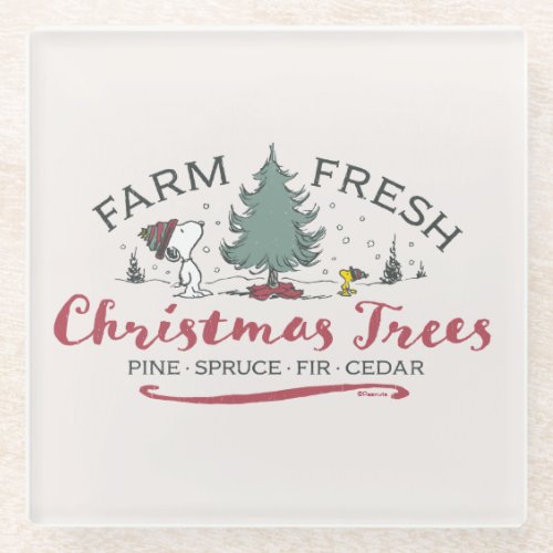 Peanuts  Farm Fresh Christmas Trees Glass Coaster