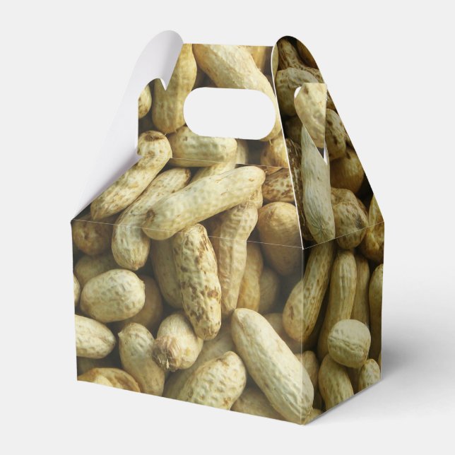 Peanuts Favor Boxes (Front Side)