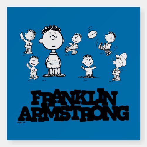 Peanuts  Franklin Armstrong Foam Board