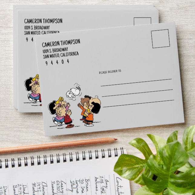 Peanuts | Friends Fun Envelope (Stacked)