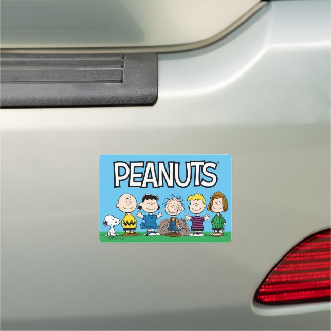Peanuts Friends In A Row Car Magnet (In Situ)