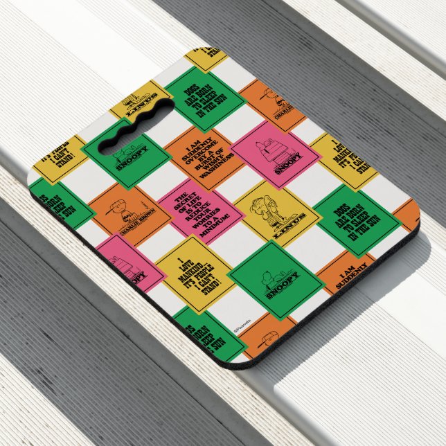Peanuts | Fun Colorblock Pattern Seat Cushion (In Situ)
