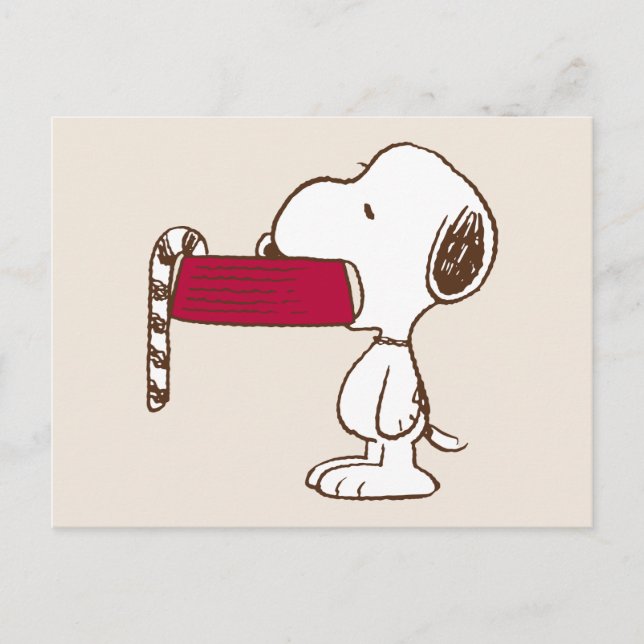 Peanuts | Holiday Delights Postcard (Front)