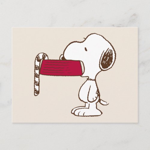 Peanuts  Holiday Delights Postcard