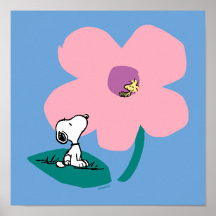 Peanuts   Illustrating Nature Pink Flower Poster