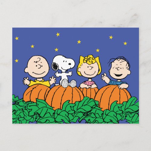 Peanuts  Its The Great Pumpkin Charlie Brown Postcard