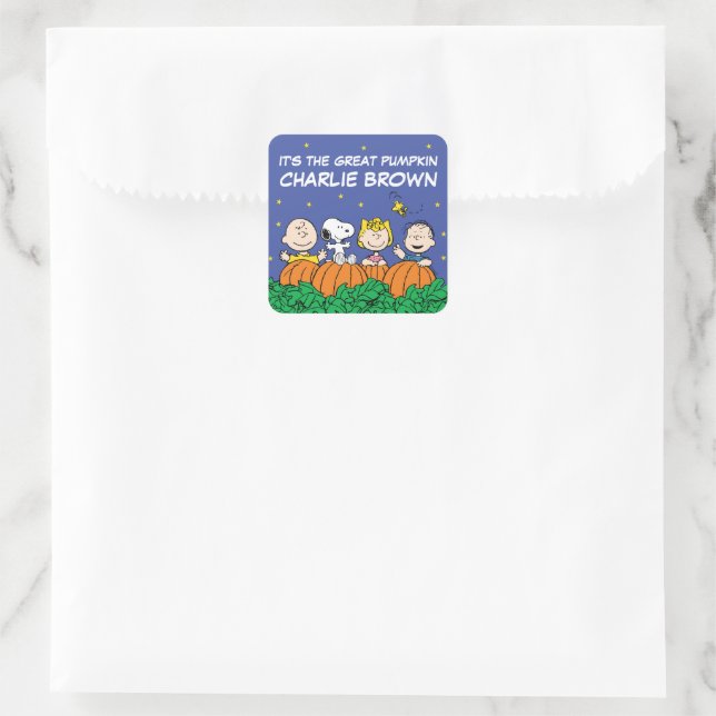 Peanuts | It's The Great Pumpkin Charlie Brown Square Sticker (Bag)