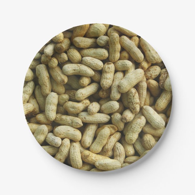 Peanuts Paper Plates (Front)