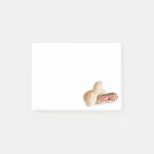 Peanuts Post-it Notes