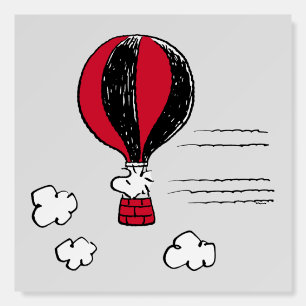 PEANUTS   Red & Black Pattern Foam Board