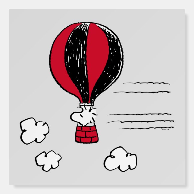 PEANUTS | Red & Black Pattern Foam Board (Front)