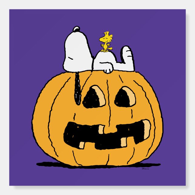 Peanuts | Snoopy and Woodstock Jack-O-Lantern Foam Board (Front)